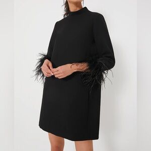 Black dress with feather sleeves
